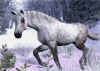 snowhorse4.jpg (413832 bytes)