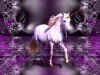 unicorn016.jpg (77046 bytes)